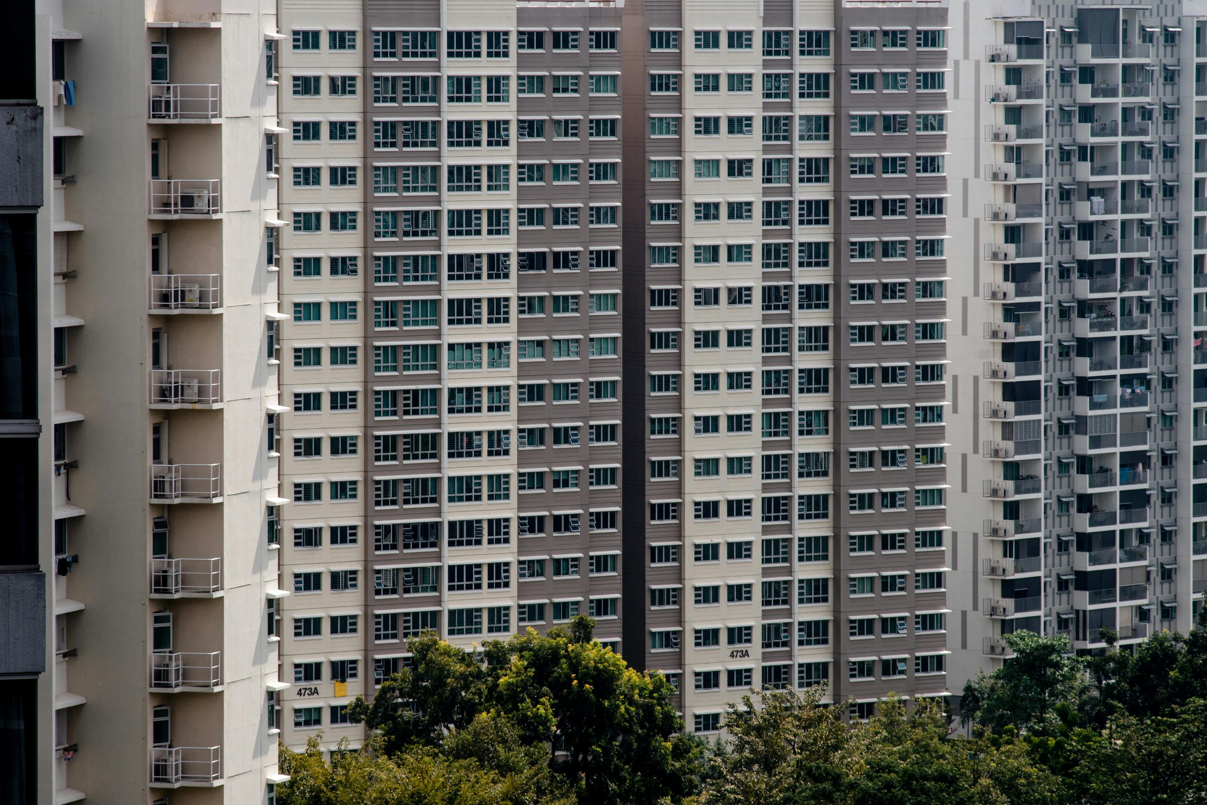 Rows of HDB blocks above a line of trees