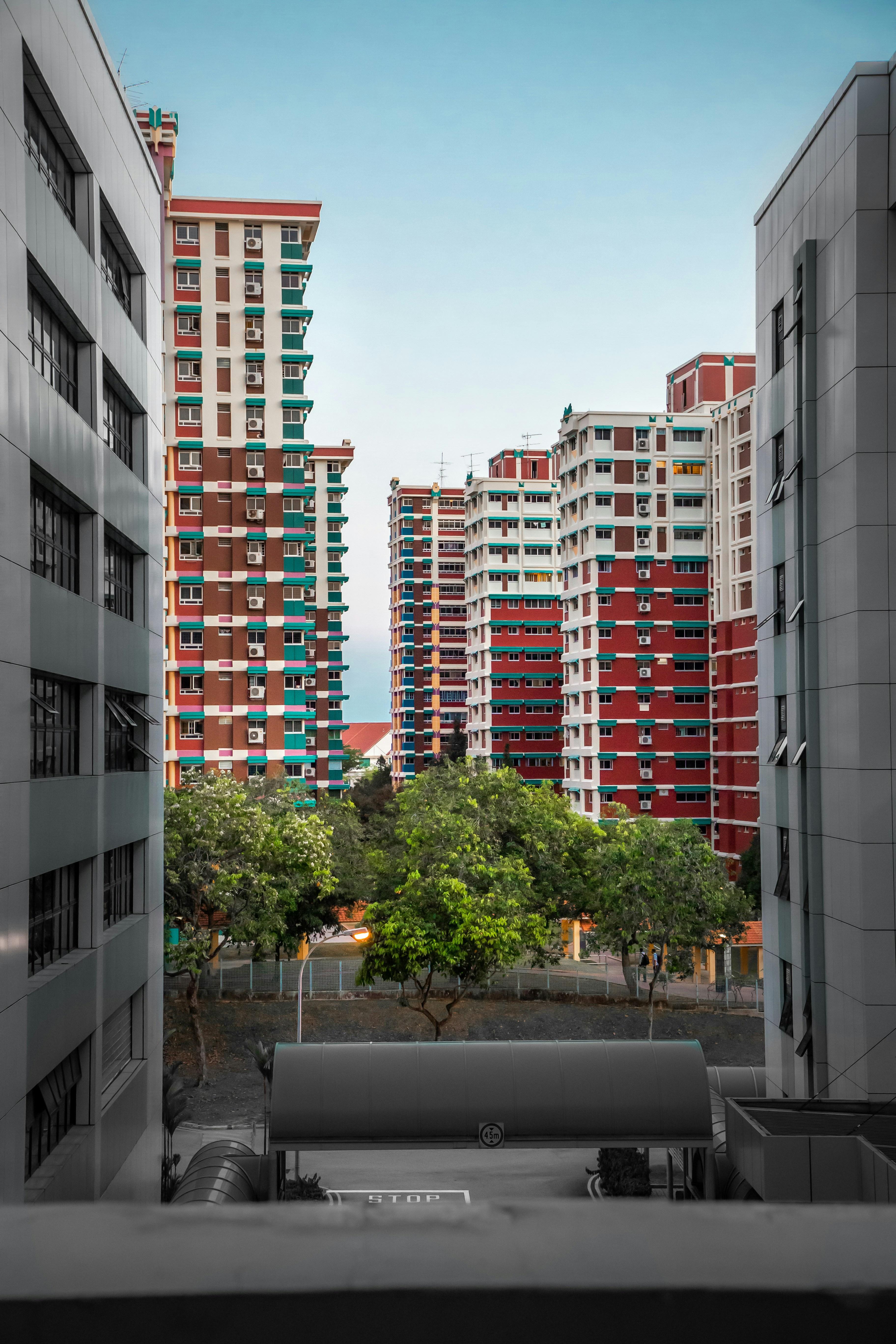 Red and white HDB blocks behind a row of trees